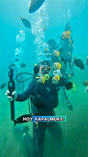 120K views · 1.4K reactions | First time to do scuba diving dine sa...