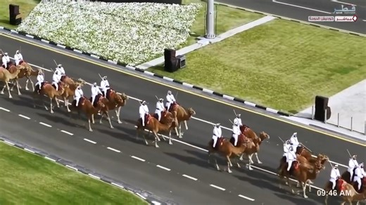 Participation of the Arabian Camel Racing Team #Qatar | #NationalDay | Qatar Tribune