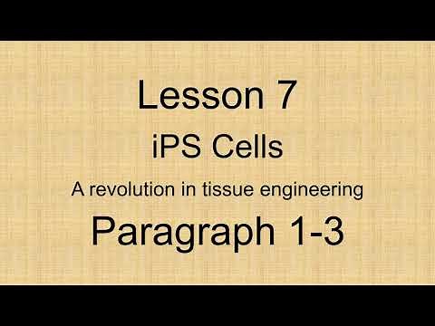 Lesson 7 Paragraph 1-3 本文解説