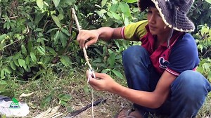 Easy Deep Hole Dove & Bird Trap Using A Leg Snare Platform Trap - The Best Dove Traps That Work 100%