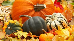 7 szuper program október első hétvégéjére