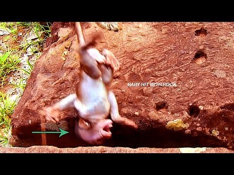 Ooop!, Baby Hit With The Rock, Baby Got Hurt So Much, Cry Seizing, Why Dee Dee Torture Like This,