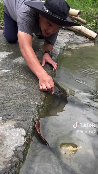 Explore Fascinating Fish Species and Habitats