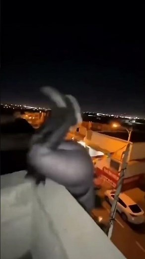 FAT BATMAN JUST CRASHED OUT