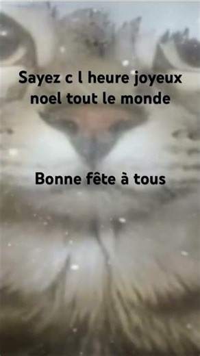 Joyeux noel#noel#chat