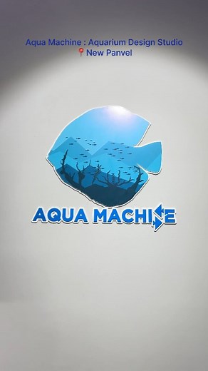 THE AQUA MACHINE | AQUARIUM DESIGNER on Instagram: "Dive into design excellence with us. 🐠🌊 We design customised aquariums of all sizes like marine tanks ,planted tanks, paludariums ,terrariums , monster fish tanks , ponds etc. #Aquariums #Aquarium ##Design #Studio #Fish #NaviMumbai #Explore #Instagram #trending"