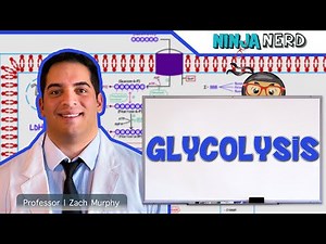 Metabolism | Glycolysis Video Lecture - NEET