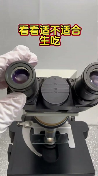 Salmon magnified, the world under a microscope, popular science on sashimi and parasites