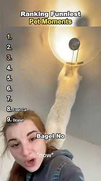 Ranking Funny Pet Moments 🤣🐶