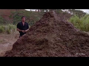 Jurassic Park 🦕 - Scène Culte - C'est vraiment un gros tas de merde