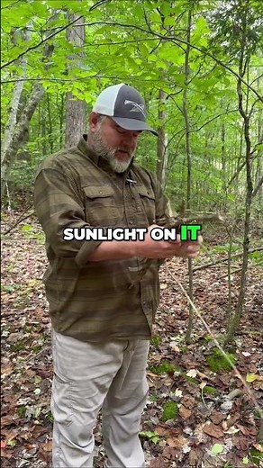 🔥 What's the Best Way to Find Dry Firewood? 🌲