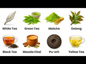 Every Tea Explained in 10 Minutes