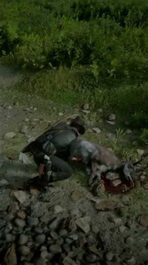 The Art Of Hunting Cinematic Rdr2 Gameplay