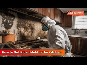 How to Get Rid of Mold in the Kitchen? - Mold Busters