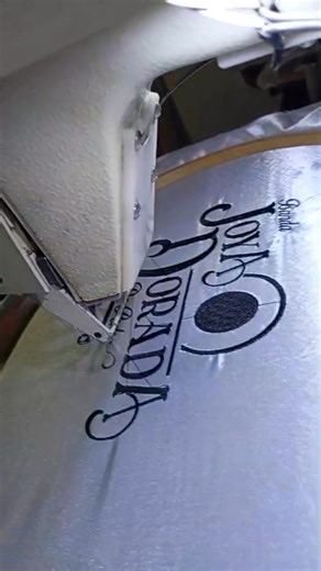 Pedro Pacheco on Reels