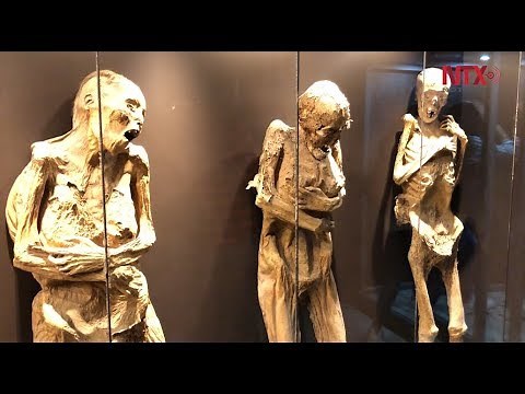 Asombro y misterio que guarda el Museo de las Momias de Guanajuato