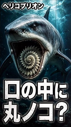 口の中に丸ノコ？ノコギリみたいな歯を持つ古代ザメ「ヘリコプリオン」 #古代生物 #絶滅動物 #ヘリコプリオン