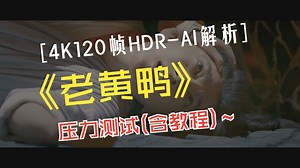 Potplayer播放器_4kHDR120帧超采老黄鸭太好用了！你知道吧！
