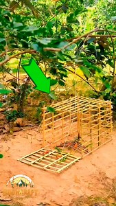 9.2K views · 1K reactions | Wild boar Trap using Cage Bamboo  #survivalskills #buschraft #viralreelsvideo❤️ #followers #fyp #followersinstagram #followforfollowback #solocamping #survival #trap | Jerwin Bantillo | Facebook