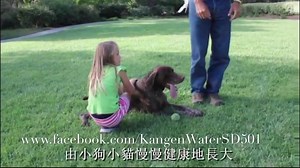 2.4K views · 73 reactions | Why Kangen Water is good for your pet? | Kangen Water Sd501 | Facebook