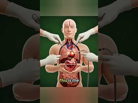 Heart Operation in 3D 🫀