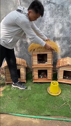 DIY Wooden Chicken Coop & Nesting Box Setup with Cozy Straw Roof - Easy Farm Build#DiY#happyhens