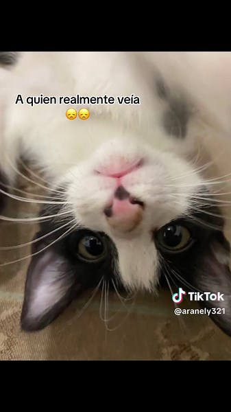 Understanding Kiki's Emotional Journey