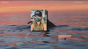 California scuba company making face 'masks' out of recycled ocean plastic during COVID-19 crisis