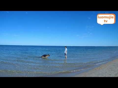 Melbourne Brighton Beach Walk and Bathing Boxes | Australia