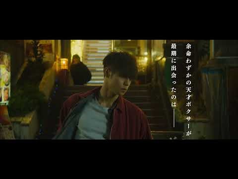 映画『初恋』特報