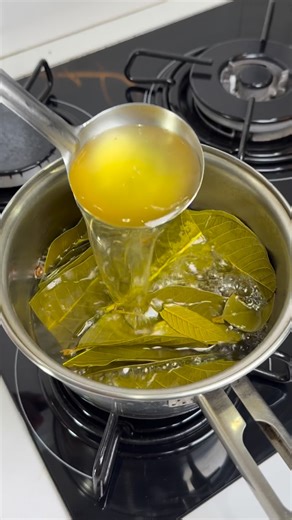 Receitas naturais on Instagram: "Chá poderoso com folha de goiaba, folha de manga, canela e cúrcuma: cuidado natural pro corpo inteiro ✨ A folha de goiaba auxilia na digestão, ajuda no equilíbrio intestinal e fortalece a imunidade 🌿 A folha de manga contribui para o controle do açúcar no sangue e o bom funcionamento do organismo 🍃 A canela é termogênica, melhora a circulação e ajuda no metabolismo 🔥 A cúrcuma tem ação anti-inflamatória e antioxidante, promovendo mais proteção e bem-estar 💛 U