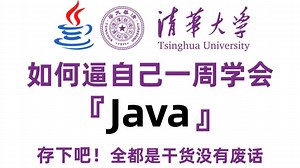 【2025最新】Java入门到精通全套教程（附源码 PDF 电子书），全程干货无废话，轻松入门，从入门到就业，Java课程、Java开发、Java学习路线