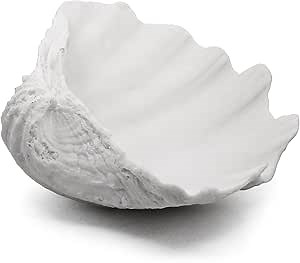 Accessoryway Extra Large Clam Shells Decorative Bowl-White Sea Shells Decorative Storage Bowls for Coastal Beach theme house table centerpiece decorations & Nautical decor for coffee table-12.4"-1PC