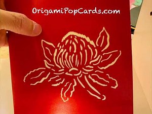 Origami Pop Cards - Australian Native Flower - Red Waratah - Shop Online https://origamipopcards.com