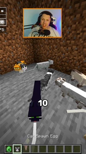 Minecraft Skeleton Soba #minecraft