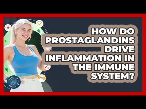 How Do Prostaglandins Drive Inflammation In The Immune System? - All About the Immune System