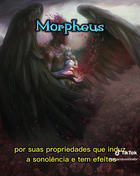 Você sabia? A real história de Morpheus #mitologia #mitologiagrega #mitologiagriega #historia #mito #morpheus #morfeo #morfeu