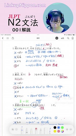 Japanese Language Proficiency Test N2 Grammar Practice Explanation