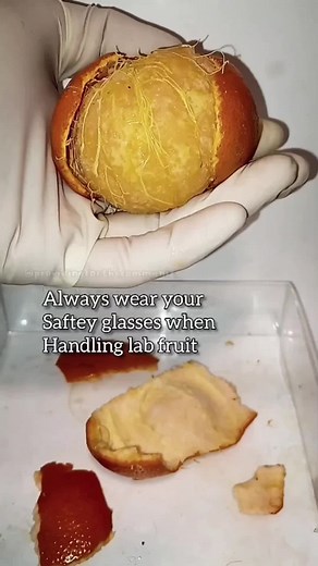 Its Time... #meme #comedy #cameraman #animation