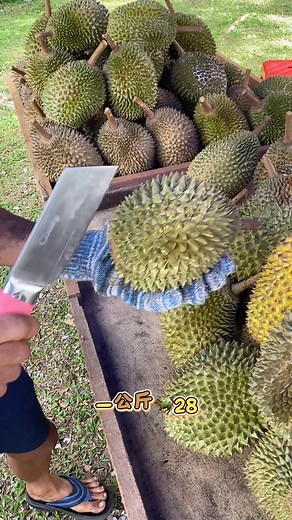 98K views · 469 reactions |  小猫山王　10公斤　RM250  中猫山王　10公斤　RM278 地址：Jalan 1/39, Taman Petaling, 52100 KL ️ Google Maps: https://maps.app.goo.gl/rR3MiXvQwy92yc1d6  订购 / 预留 Cindy：wa.me/601136078988 Bee仔：wa.me/601111438127  Walk in ｜✅ 预定 ｜✅ Lalamove | Bee仔榴莲 | Facebook