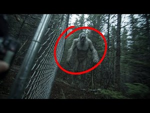Convincing Cryptid Sightings Clearly Caught On Video