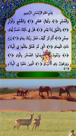 SURAH AL-FAJR | Beautiful Quran Recitation | سبحان الله