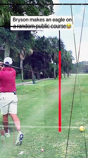 jacobslerner on TikTok