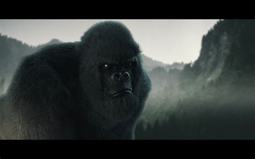 KONG speaks