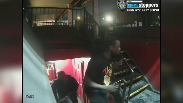 2 men wanted in violent home invasion in Flushing, 2 senior citizens robbed
