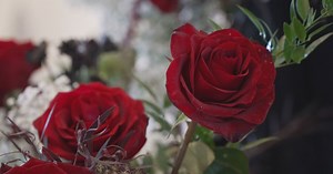 Three weddings, 540 roses: Nashville florists say ‘yes’ to love