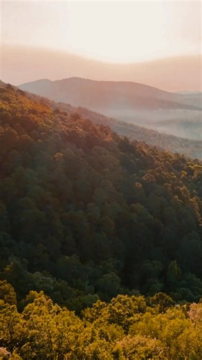 123 reactions · 14 shares | Cozy Season is Calling  Unplug in a peaceful mountain treehouse, sip cider by the fire, and watch the leaves put on a show from high up in the trees. Book the perfect autumn escape at In The Trees https://inthetrees.com | In The Trees | Facebook