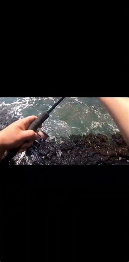 넙치농어를 잡아보자! #바다루어 #fishing #생활꿀팁 #루어낚시 #낚시 #넙치농어 #농어루어 #Hirasuzuki #가오피싱