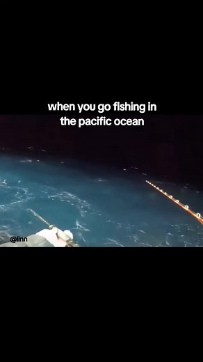 Fishing in the Pacific Ocean: Funny Satire and Japanese Adventures