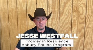 A Place in the Herd - Part 3: Training Future Police Horses Asbury University Equine Program Trainer Jesse Westfall explains how the horses are trained by Asbury Equine Program students to become future police horses. #workinghorses #ScottsdalePD #mountedpolice #mountedpolicehorse #horseriding #equine #horses | Scottsdale Police Department